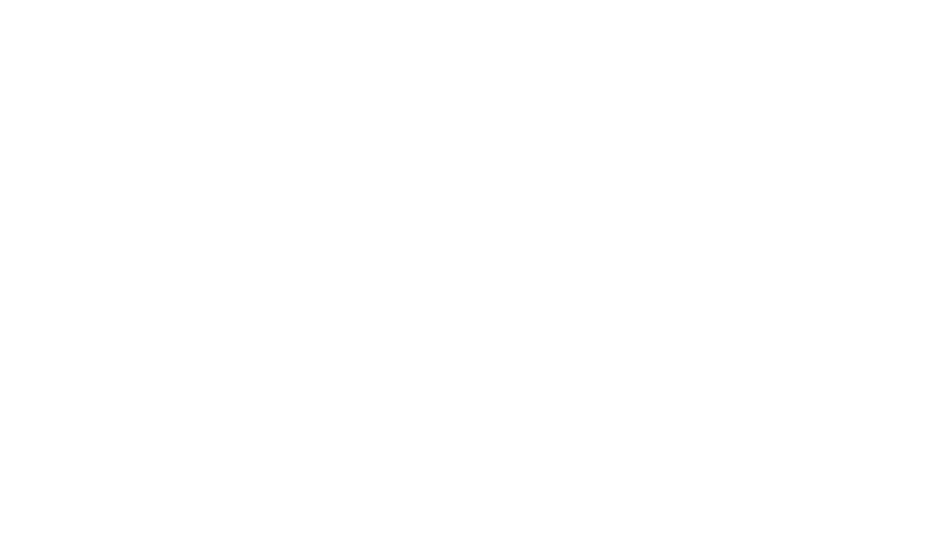 Capital Flight